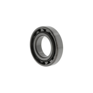 Cuscinetto a rulli cilindrici N313