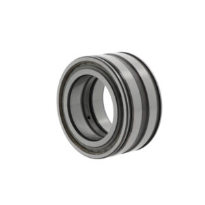 Cuscinetto a rulli cilindrici SL045030 -D-PP-C3
