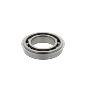 Cuscinetto radiale rigido a sfere 6020  NR
