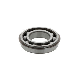 Cuscinetto radiale rigido a sfere 6204  ZENRCM